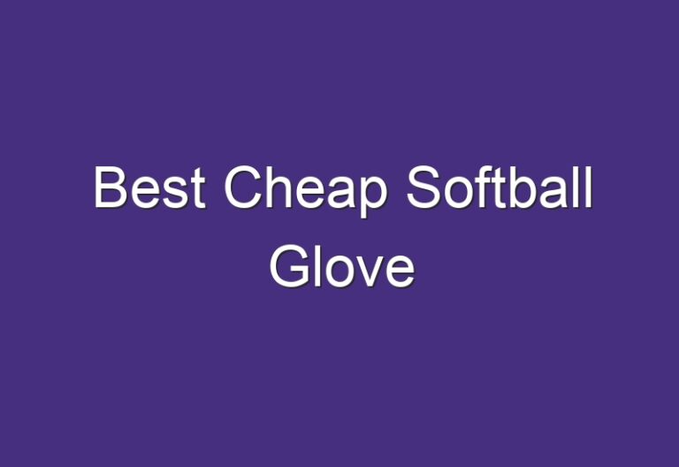 Best Cheap Softball Glove