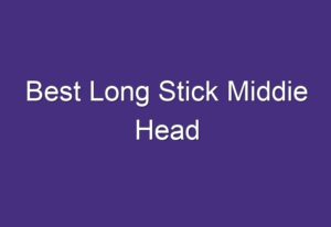 best long stick middie head