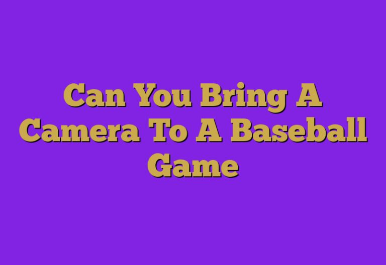 can-you-bring-a-camera-to-a-baseball-game