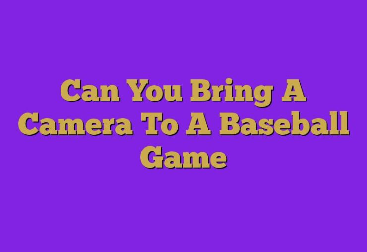 Can You Bring A Camera To A Baseball Game